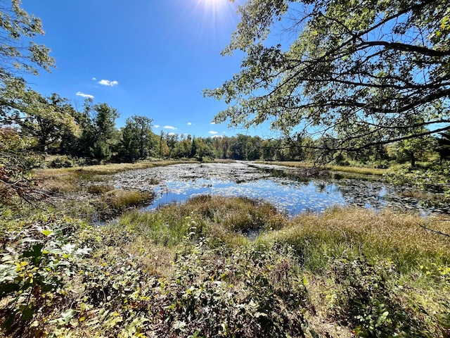 777 Big Round Ave, Georgetown Twp, WI 54853 - water view with a forest view