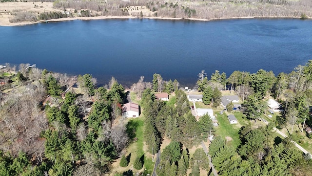 aerial view of a large body of water and a heavily wooded area
