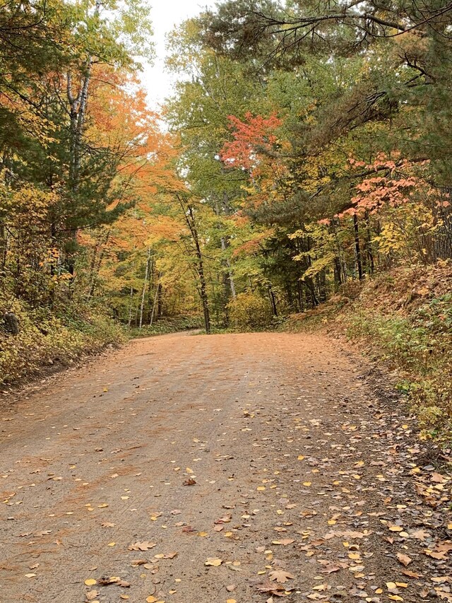 view of street featuring a wooded view