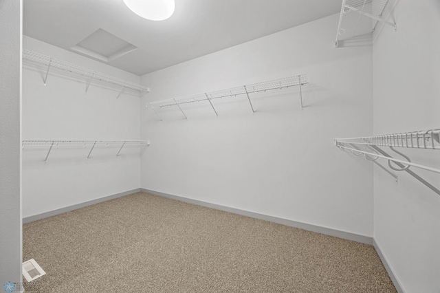 8343 61st St S, Horace, ND 58047 - walk in closet with carpet floors and attic access