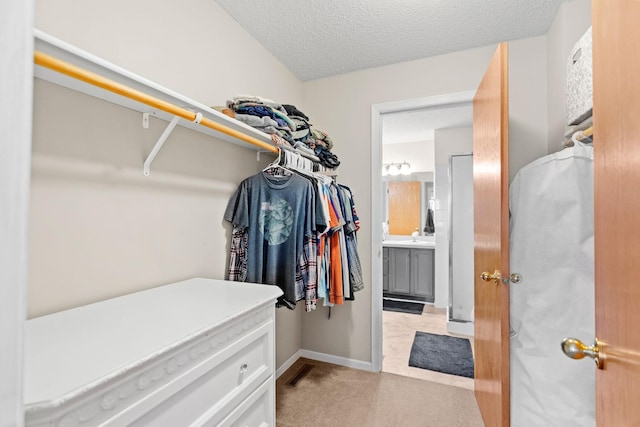 spacious closet featuring a sink and light carpet