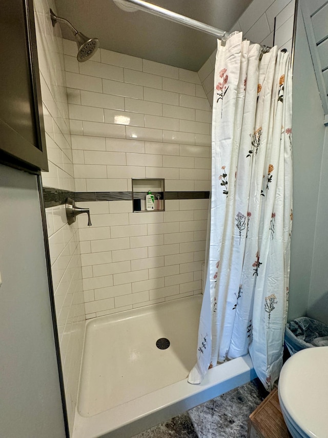 63521 County Road 2, Warroad, MN 56763 - bathroom featuring a stall shower and toilet