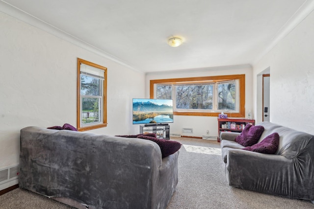 living room with carpet, ornamental molding, baseboard heating, and baseboards