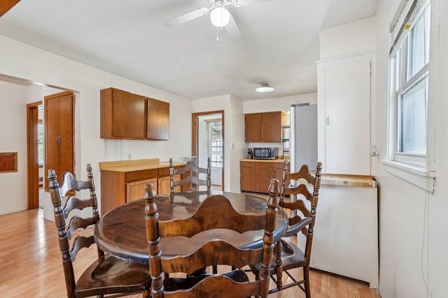 dining room featuring light wood-type flooring and a ceiling fan