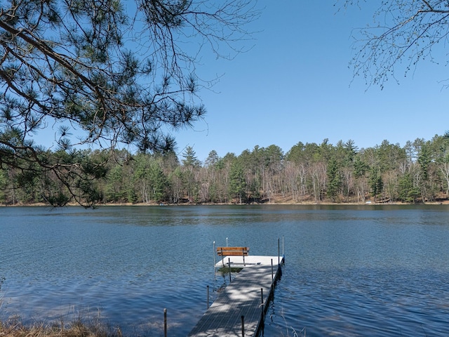 dock with a water view and a forest view