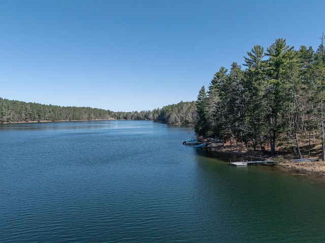 water view featuring a heavily wooded area