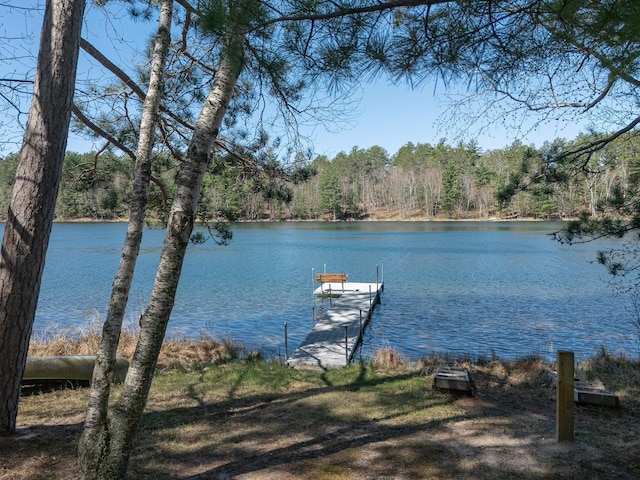 dock featuring a water view and a forest view