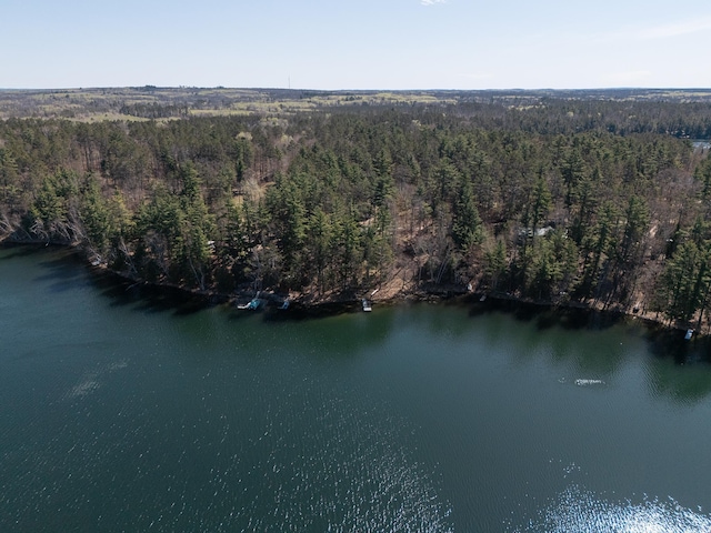 aerial view of property's location featuring a heavily wooded area and a large body of water