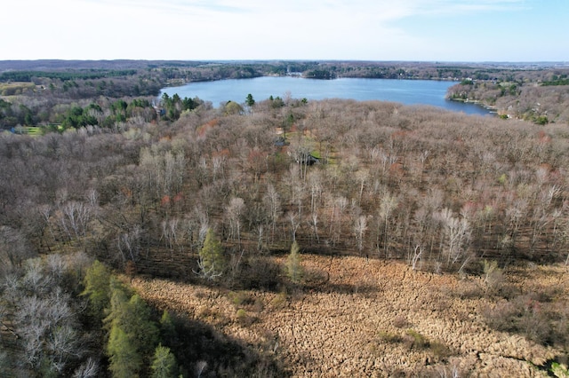 drone / aerial view with a view of trees and a water view