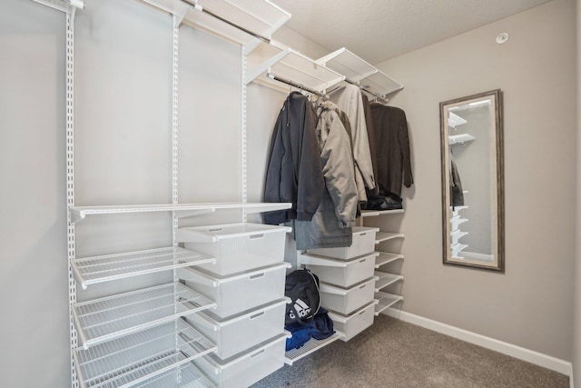 11462 81st Pl N, Maple Grove, MN 55369 - spacious closet with carpet