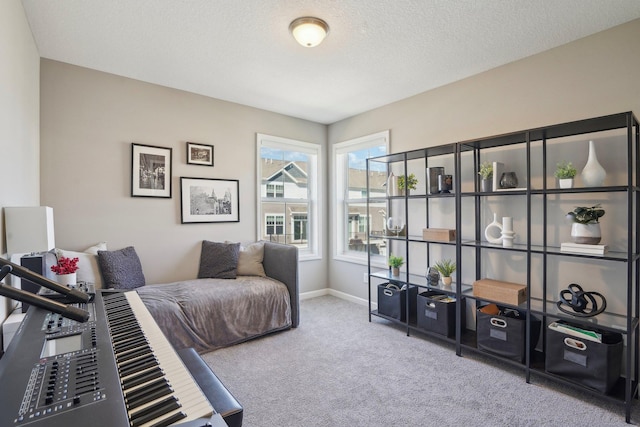 11462 81st Pl N, Maple Grove, MN 55369 - living area featuring carpet, baseboards, and a textured ceiling