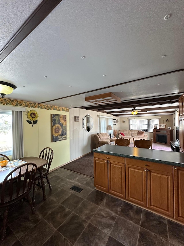 1404 Central Rd, Littlefork, MN 56653 - kitchen with a ceiling fan, dark countertops, a wealth of natural light, and a textured ceiling