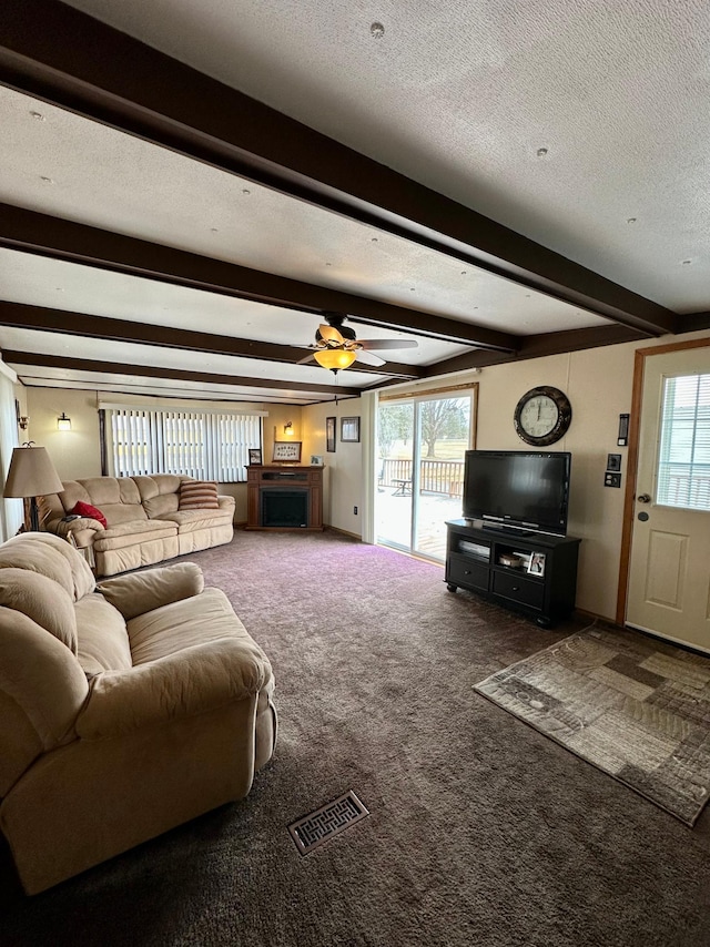 1404 Central Rd, Littlefork, MN 56653 - carpeted living room featuring a wealth of natural light, beamed ceiling, a textured ceiling, and visible vents