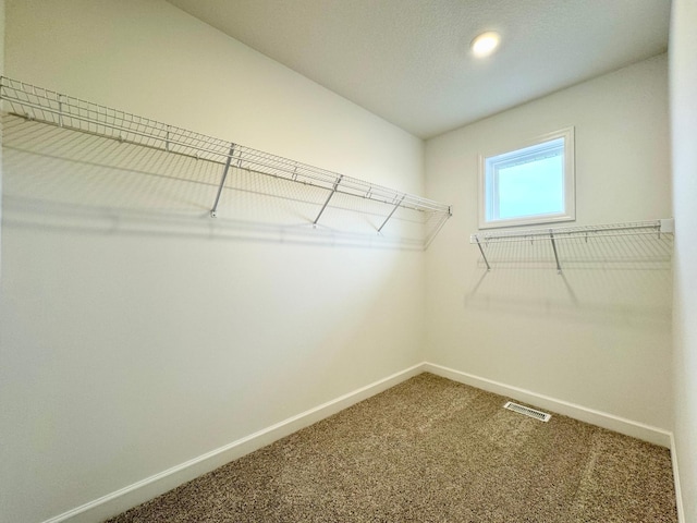 walk in closet featuring carpet floors and visible vents