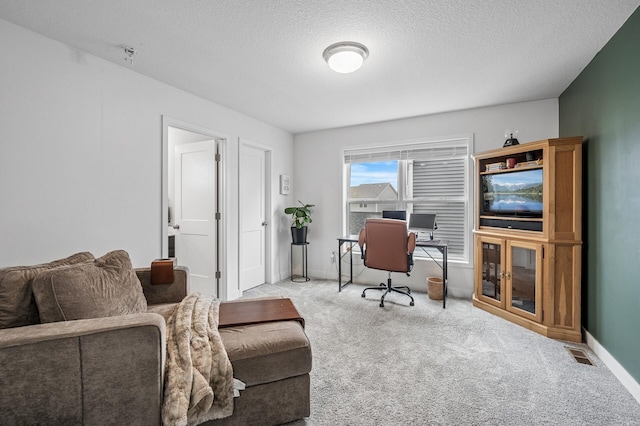 11270 Meadow View Ln, Maple Grove, MN 55311 - office space with carpet floors, a textured ceiling, visible vents, and baseboards