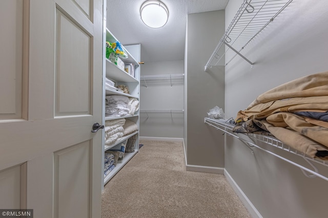 509 Superior Ave, Crosby, MN 56441 - walk in closet featuring carpet floors