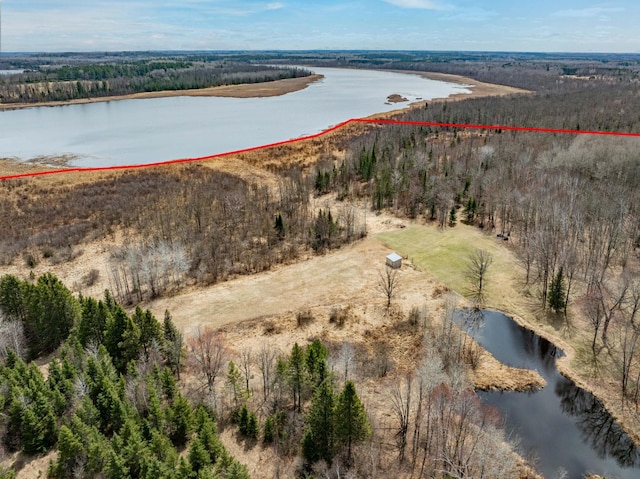 drone / aerial view featuring a water view and a forest view