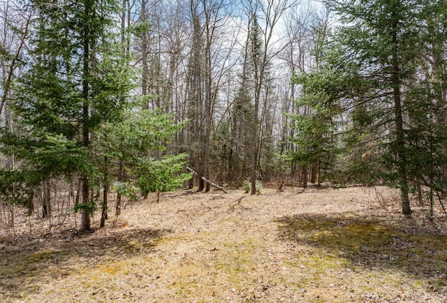 view of nature featuring a wooded view