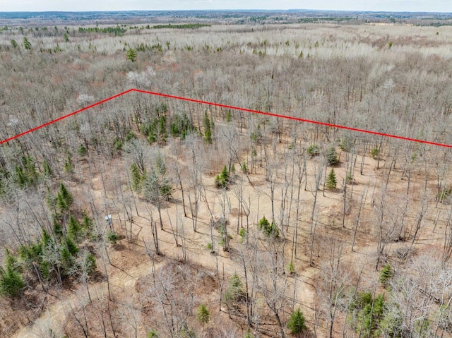 drone / aerial view with a rural view