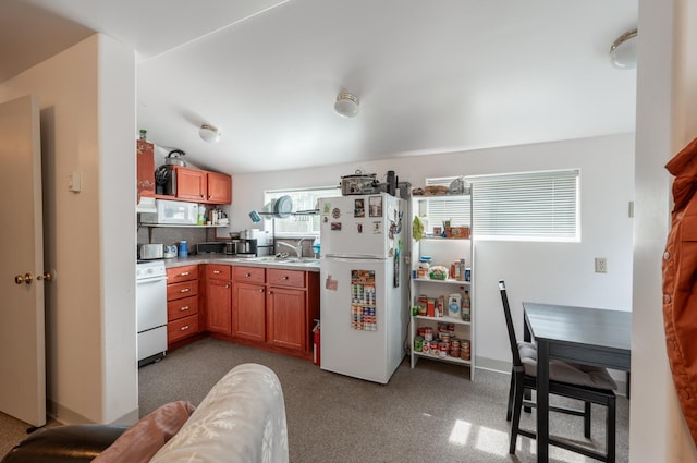kitchen featuring a sink, white appliances, light countertops, brown cabinetry, and carpet