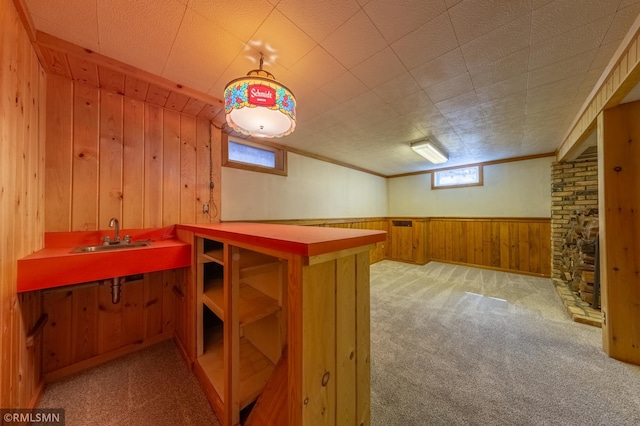 27042 Round Lake Rd, Bay Lake Twp, MN 56444 - interior space with a sink, a wainscoted wall, wooden walls, bar area, and carpet