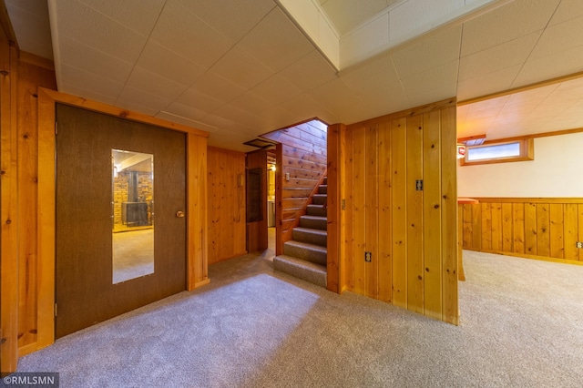 27042 Round Lake Rd, Bay Lake Twp, MN 56444 - below grade area featuring carpet flooring, wood walls, and stairs