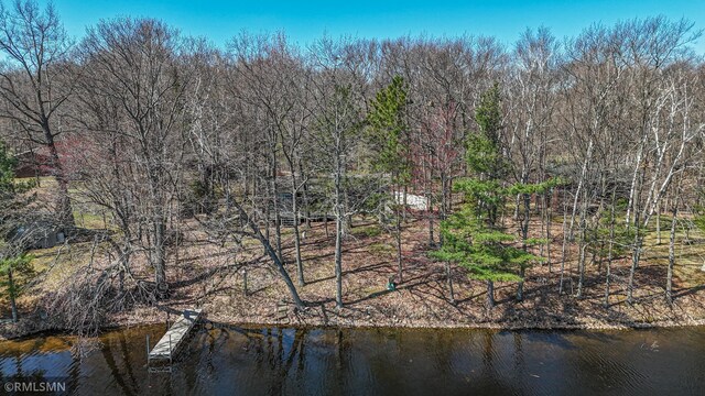 27042 Round Lake Rd, Bay Lake Twp, MN 56444 - water view