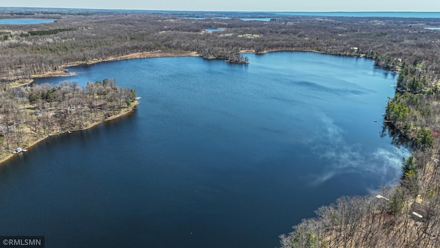 27042 Round Lake Rd, Bay Lake Twp, MN 56444 - aerial view featuring a water view and a forest view