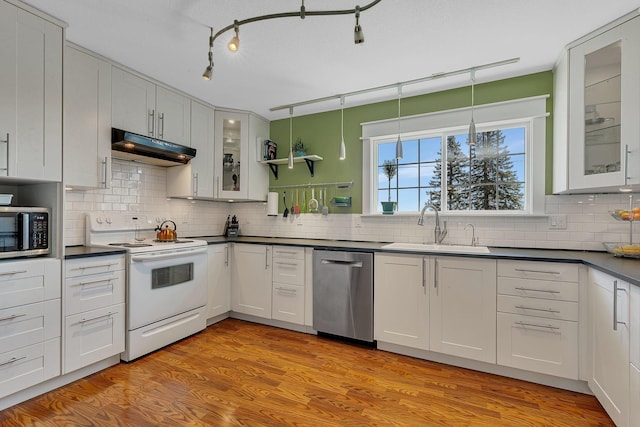 26063 County Road 2, Saint Joseph Twp, MN 56301 - kitchen featuring appliances with stainless steel finishes, under cabinet range hood, a sink, and dark countertops