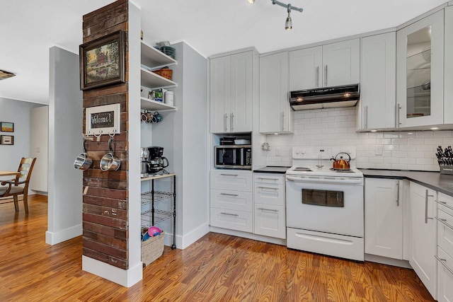 26063 County Road 2, Saint Joseph Twp, MN 56301 - kitchen with white range with electric stovetop, stainless steel microwave, under cabinet range hood, dark countertops, and tasteful backsplash