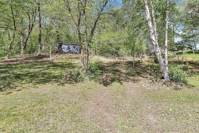 26063 County Road 2, Saint Joseph Twp, MN 56301 - view of yard