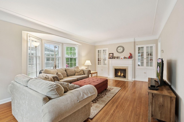 2613 Inglewood Ave S, Saint Louis Park, MN 55416 - living room featuring wood finished floors and a fireplace with flush hearth