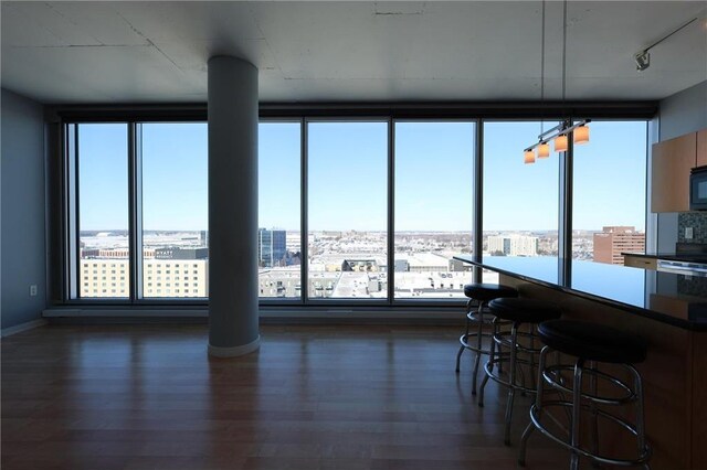 dining room with baseboards, a view of city, and dark wood finished floors