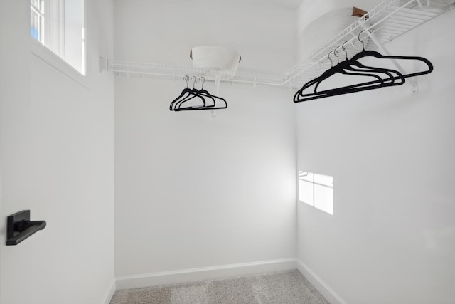 walk in closet featuring carpet flooring