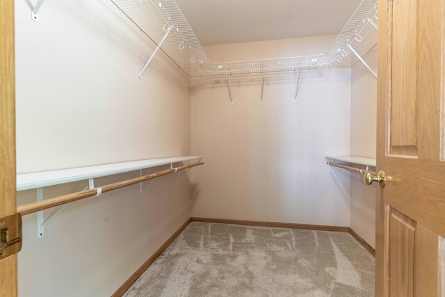 22694 Coney Island Dr, Clitherall, MN 56524 - spacious closet featuring carpet