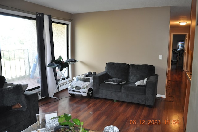living room featuring plenty of natural light and wood finished floors