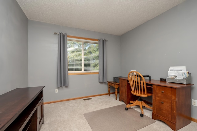 822 Emerson Ave N, Montrose, MN 55363 - office space with light carpet, baseboards, and a textured ceiling