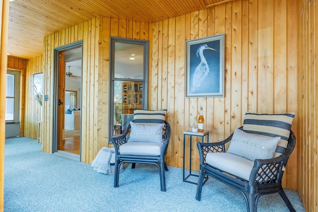 344 Barker St, Hastings, MN 55033 - living area with carpet, wood walls, and wood ceiling