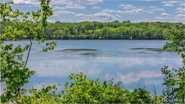 344 Barker St, Hastings, MN 55033 - water view with a heavily wooded area
