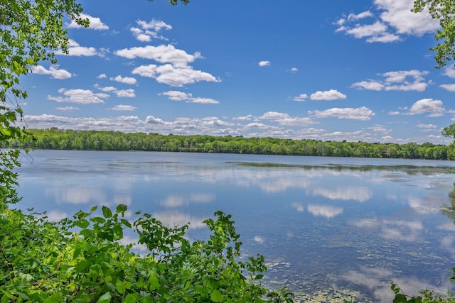 344 Barker St, Hastings, MN 55033 - water view featuring a heavily wooded area