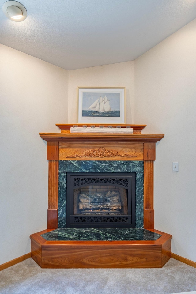 344 Barker St, Hastings, MN 55033 - detailed view of carpet floors and a fireplace