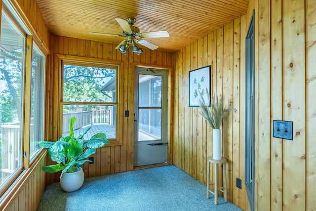 344 Barker St, Hastings, MN 55033 - unfurnished sunroom featuring carpet and wood walls