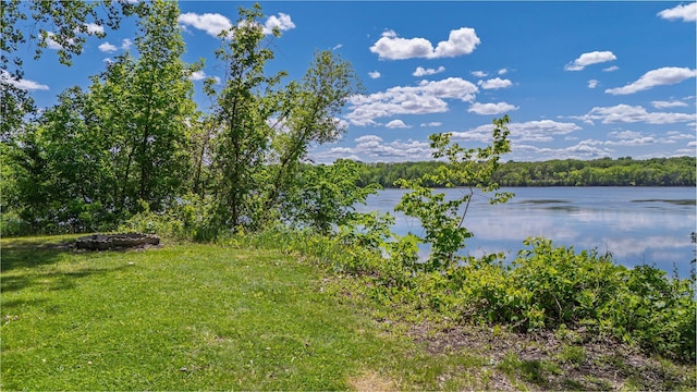 344 Barker St, Hastings, MN 55033 - water view with a forest