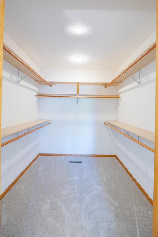 344 Barker St, Hastings, MN 55033 - walk in closet with carpet flooring