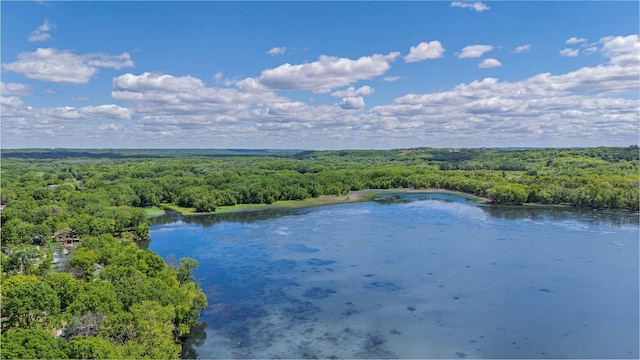 344 Barker St, Hastings, MN 55033 - aerial view of a heavily wooded area and a large body of water