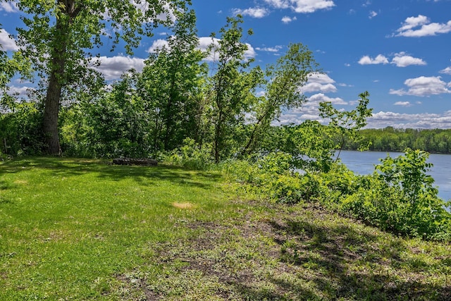 344 Barker St, Hastings, MN 55033 - view of grassy yard with a water view and a forest view