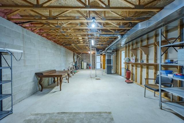 344 Barker St, Hastings, MN 55033 - view of unfinished basement