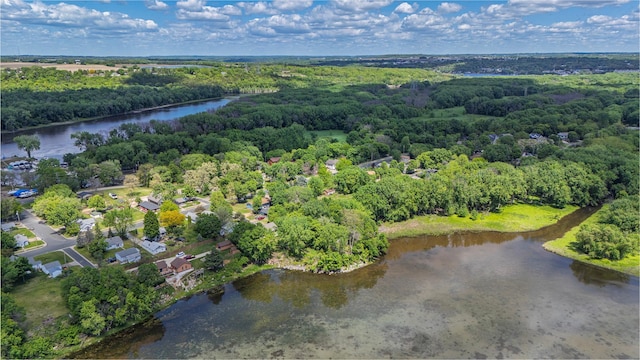 344 Barker St, Hastings, MN 55033 - drone / aerial view of a forest and a nearby body of water