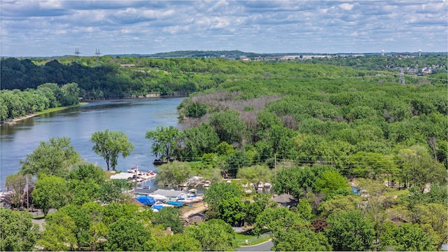 344 Barker St, Hastings, MN 55033 - drone / aerial view of a heavily wooded area and a nearby body of water