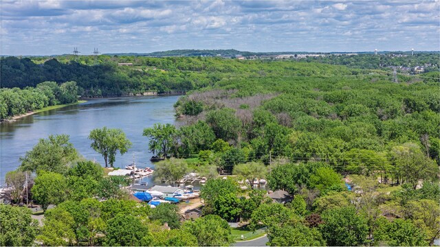 344 Barker St, Hastings, MN 55033 - photo 45